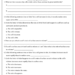 17 Cell Vocabulary Worksheets Worksheeto