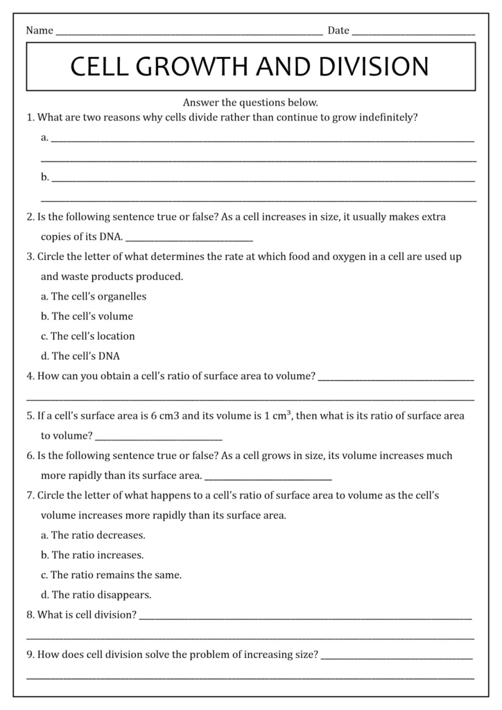 17 Cell Vocabulary Worksheets Worksheeto