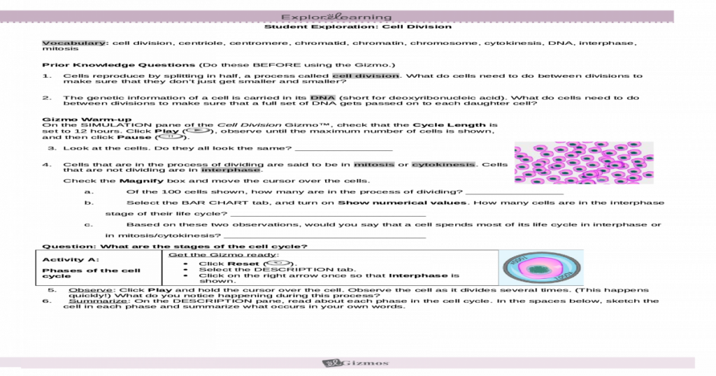 Answers For Cell Division Gizmo Islero Guide Answer For Assignment