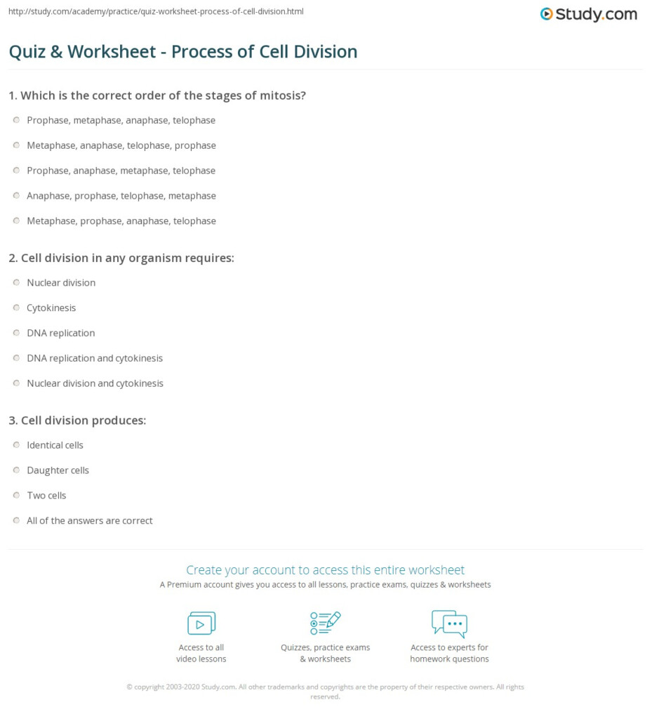 Quiz Worksheet Process Of Cell Division Study