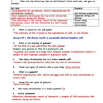 Section 10 2 Cell Division Answer Key Cell Division