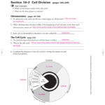 Section 10 2 Cell Division pages 244 249