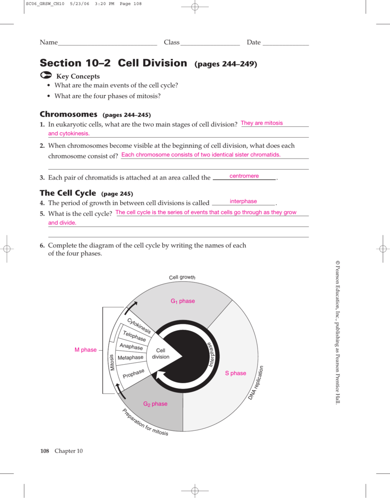 Section 10 2 Cell Division pages 244 249 