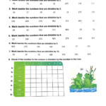 Divisibility Rules Interactive Exercise