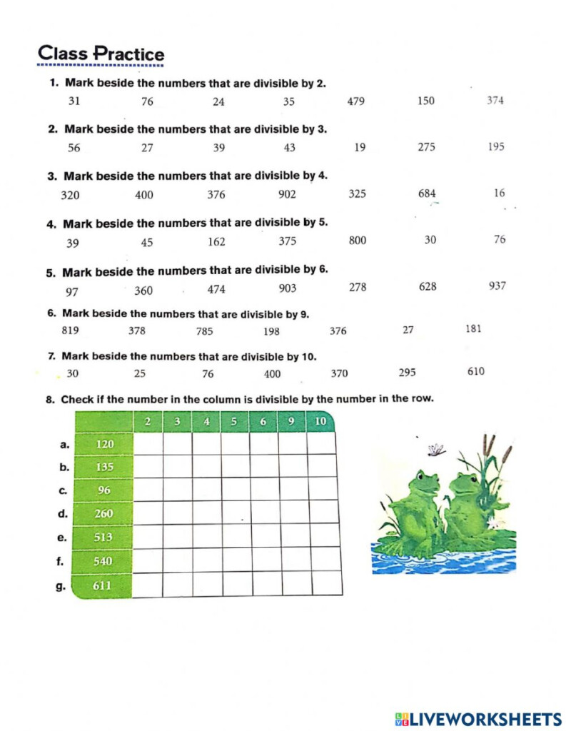 Divisibility Rules Interactive Exercise