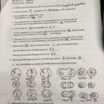 Section 1 Reinforcement Cell Division And Mitosis Worksheet Answers