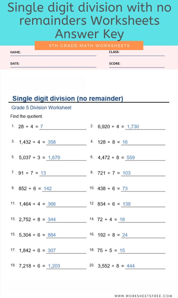 Single Digit Division With No Remainders Worksheets For Grade 5 Answer