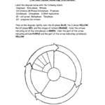 The Cell Cycle Coloring Worksheet Printable Pdf Download