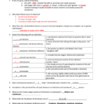 Cell Cycle And Mitosis Review Worksheet TUTORE ORG Master Of Documents