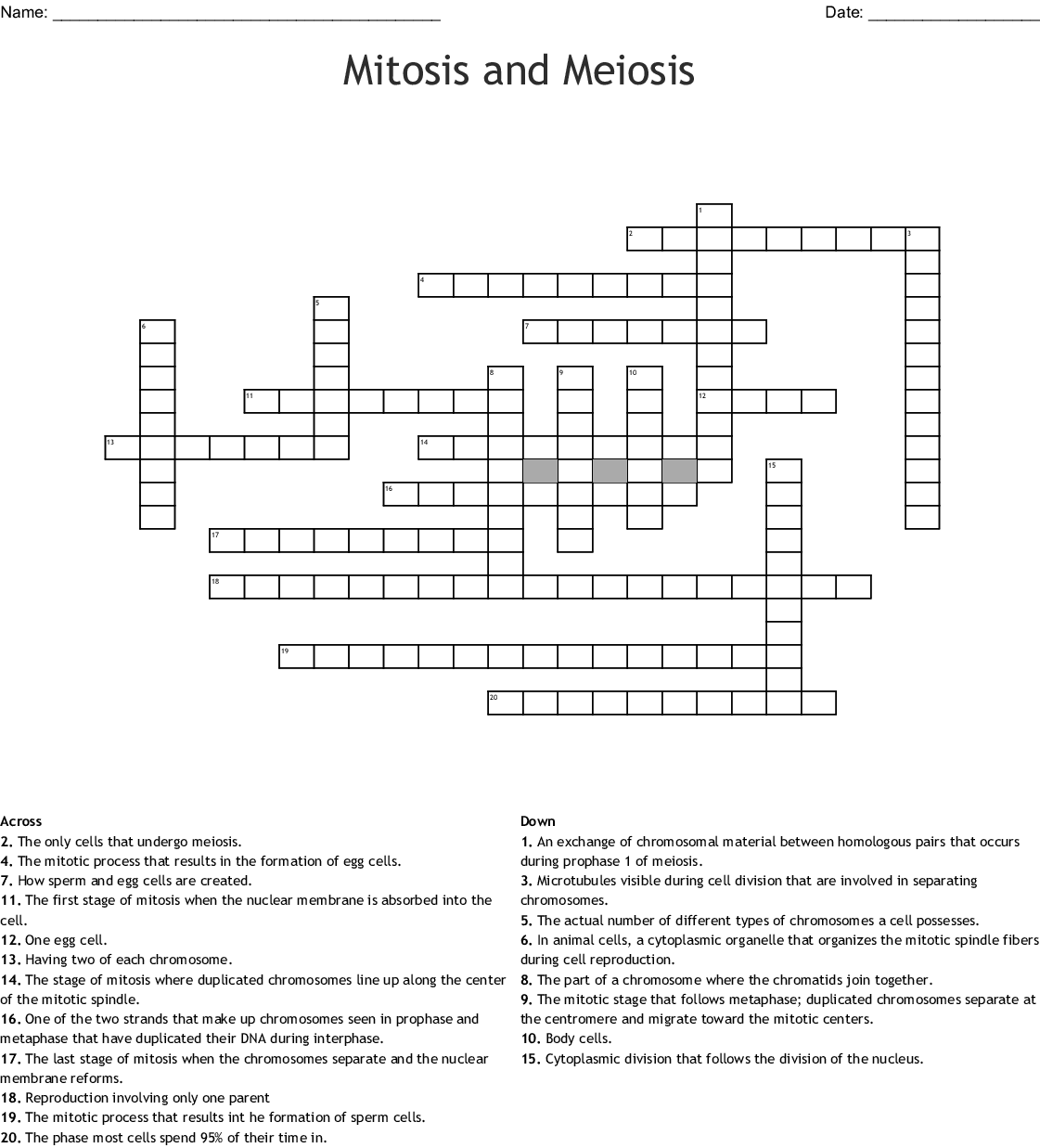 Mitosis And Meiosis Crossword WordMint