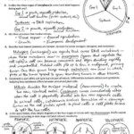 Mitosis Practice Worksheet Quizlet Worksheets