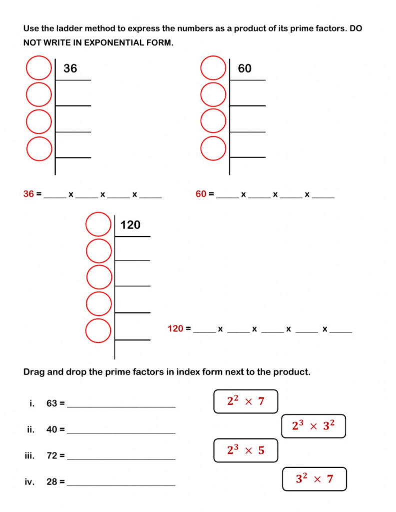 Prime Factorization Activity For 5 7