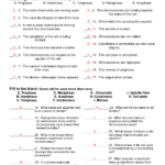 13 Life Science Worksheet Answer Worksheeto