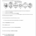 Cell Cycle Review Worksheet Answers Worksheet Resume Examples