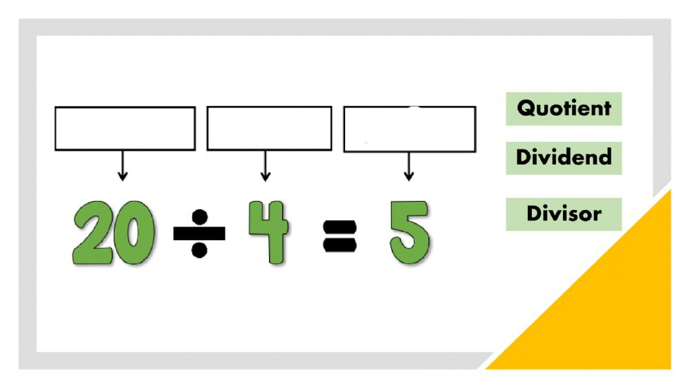 Division Vocabulary Worksheet