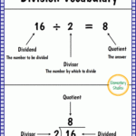 Elementary Studies Division Facts