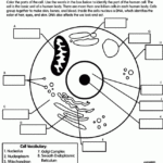 Pin On Science