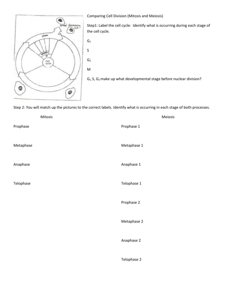 Review Day 3 EOCT Cell Division Genetics DNA