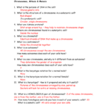 Review Sheet Cell Division Answers